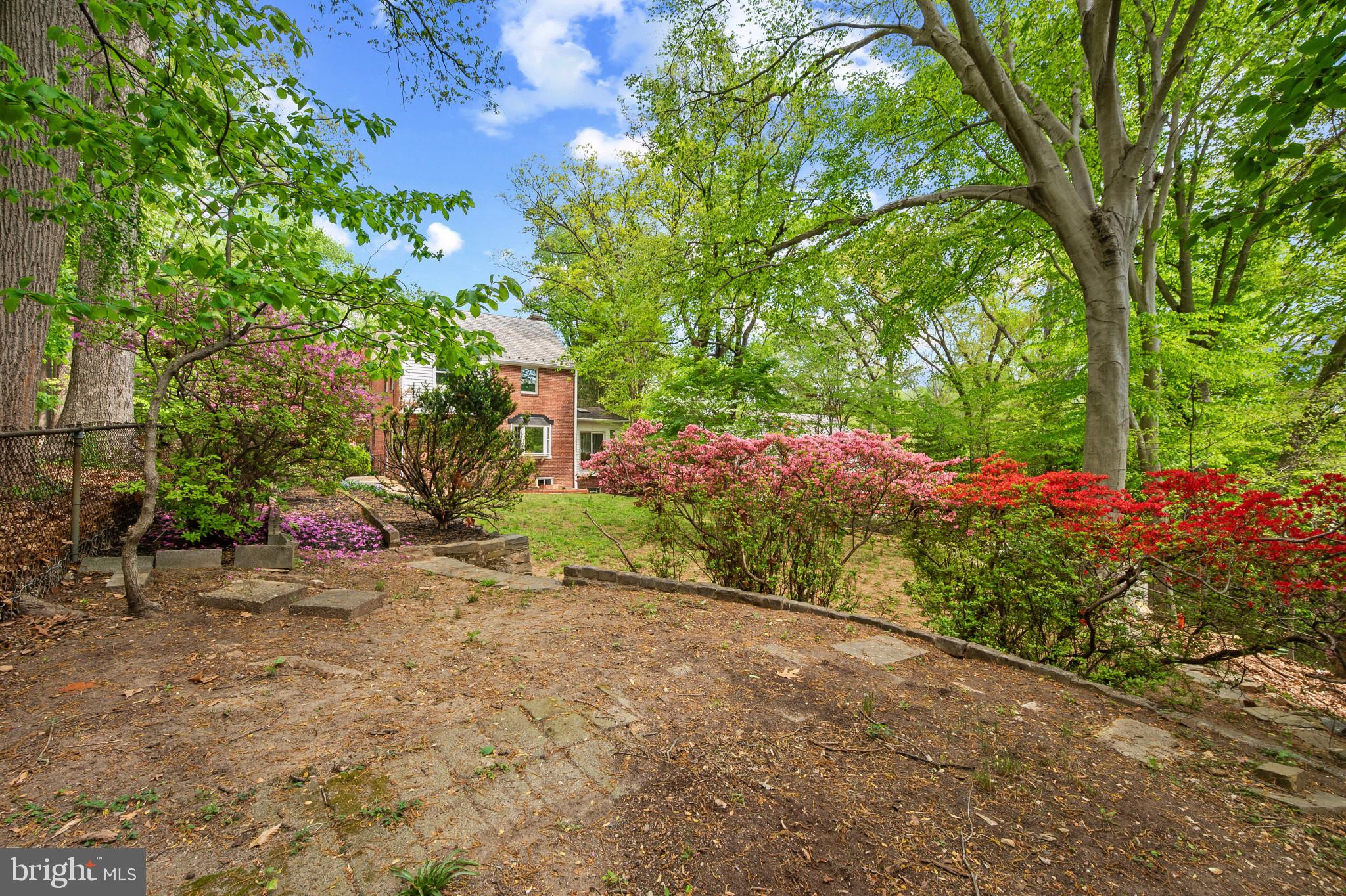 108 Denver Road Silver Spring, MD 20910 - Photo 33 of 35 Colorful mature flowering landscaping