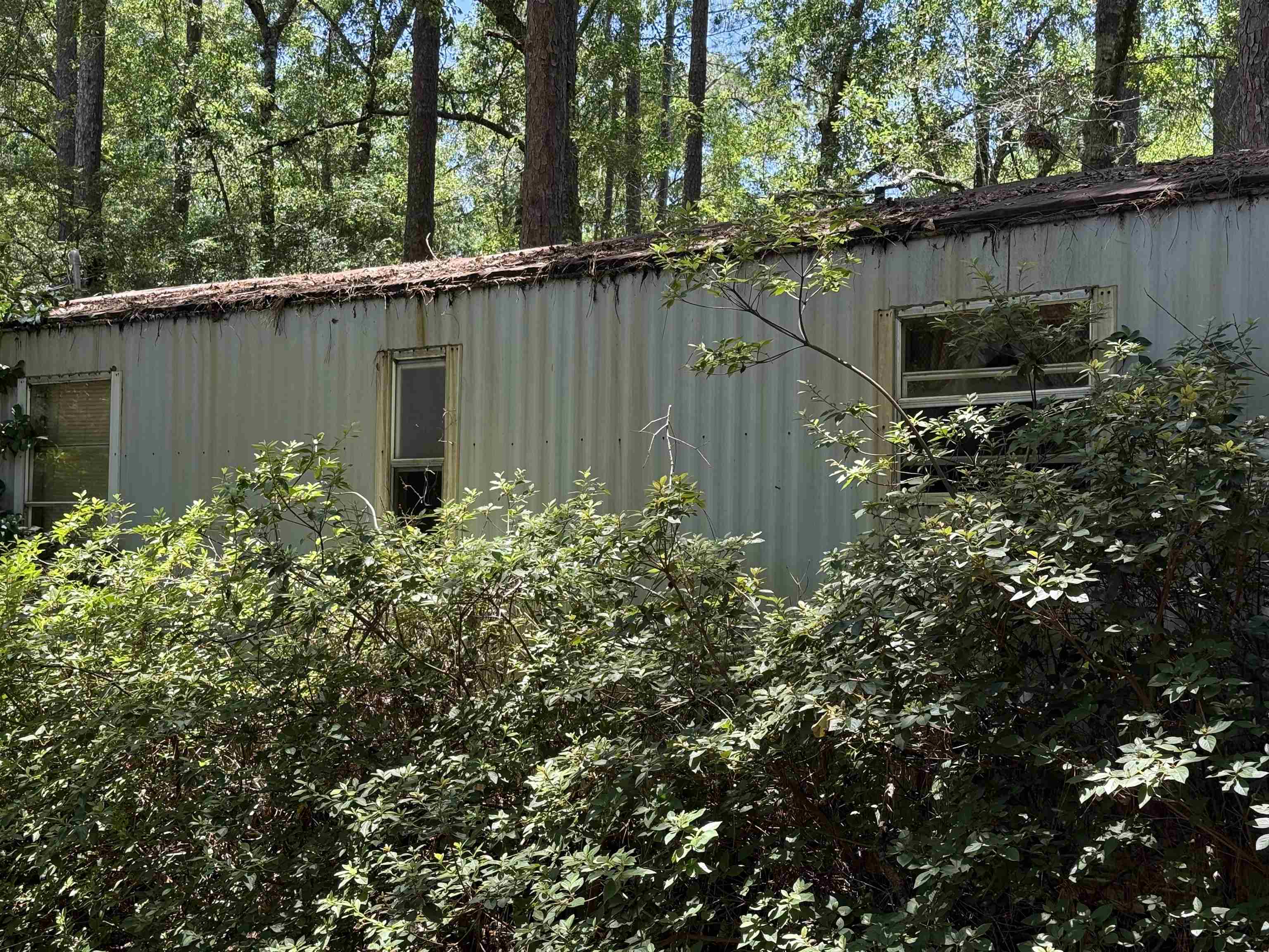 7326 Springhawk Loop Tallahassee, FL 32305 - Photo 8 of 8 Gallery Image 8