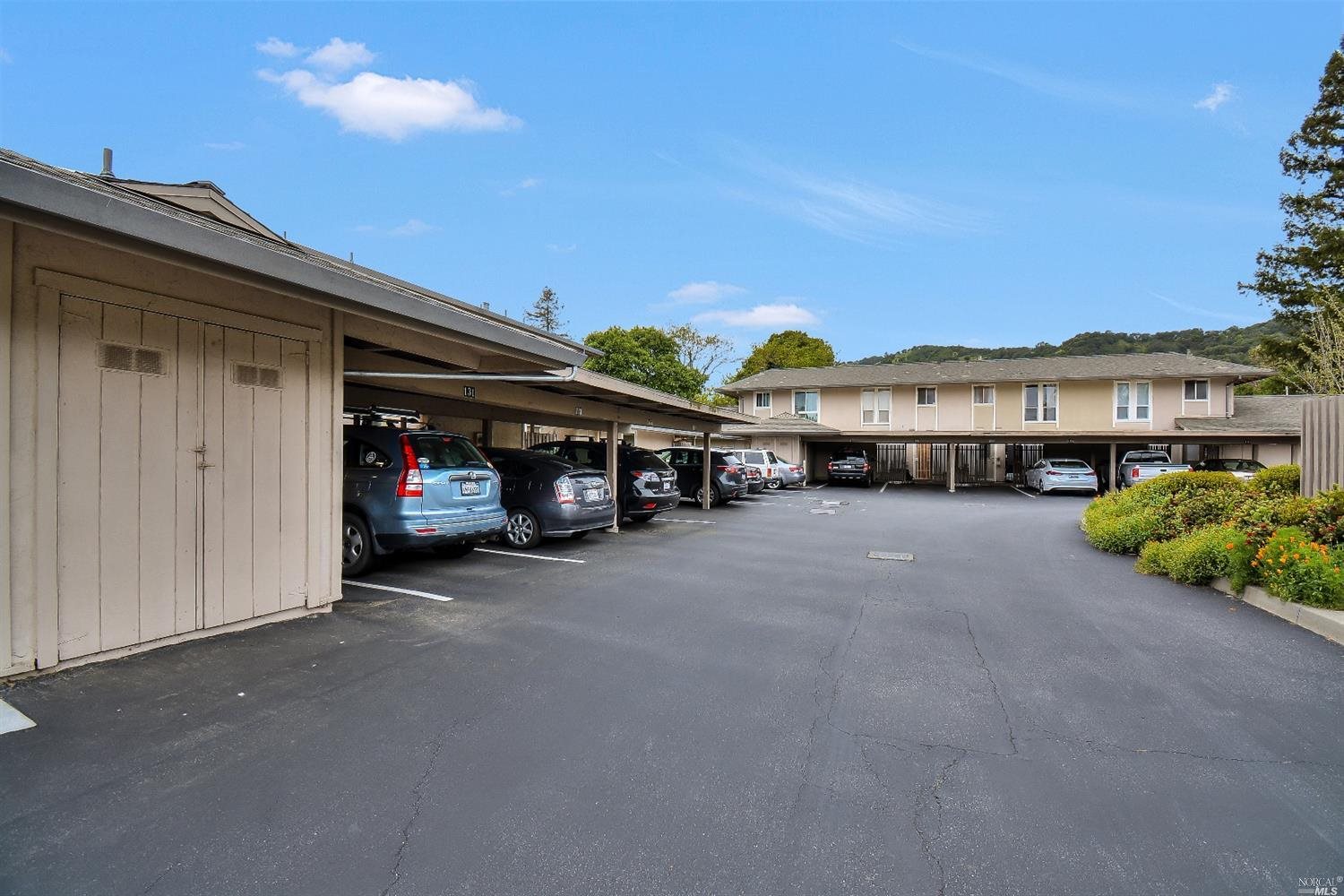 145 Roundtree Boulevard San Rafael, CA 94903 - Photo 1 of 1 a view of street with parked cars