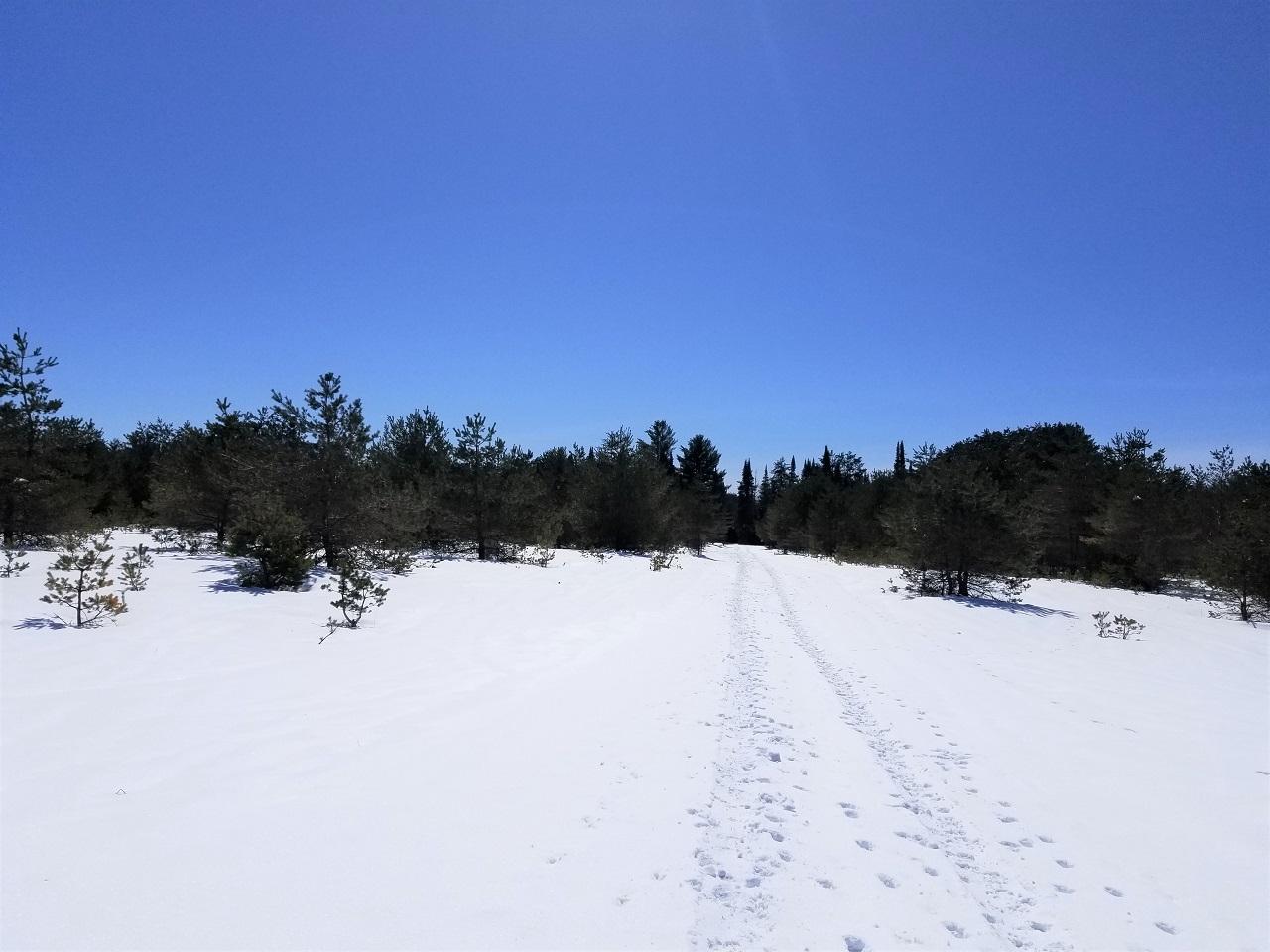 Lot 11 Northern Trs Road Mercer, WI 54547 - Photo 9 of 14 Gallery Image 9