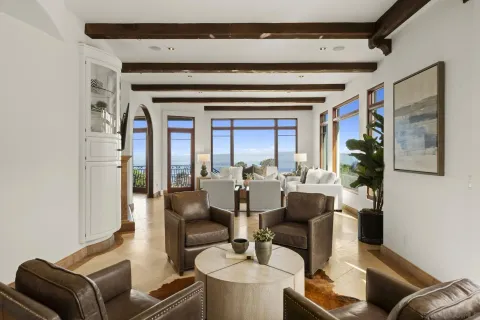 a living room with furniture and a potted plant