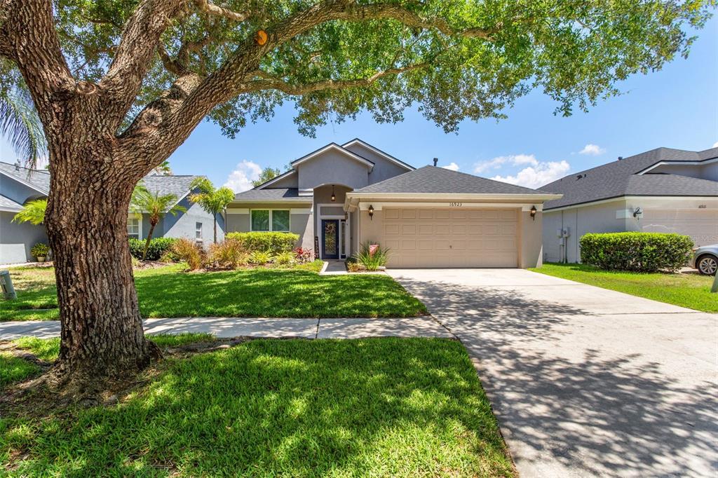 16923 Hawkridge Road Lithia, FL 33547 - Photo 1 of 1 NEW EVERYTHING!!