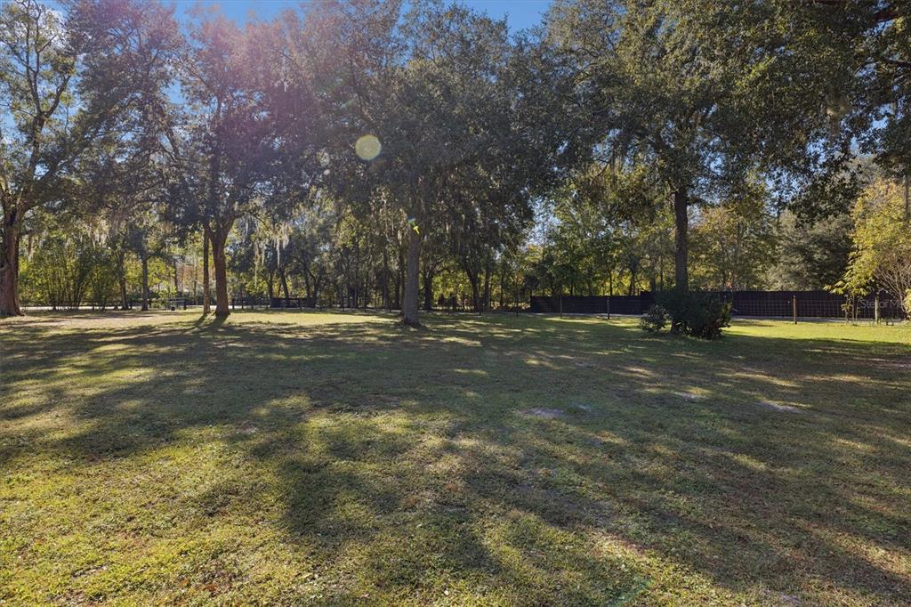 16607 Bearle Road Orlando, FL 32828 - Photo 17 of 57 a view of outdoor space with yard and trees all around