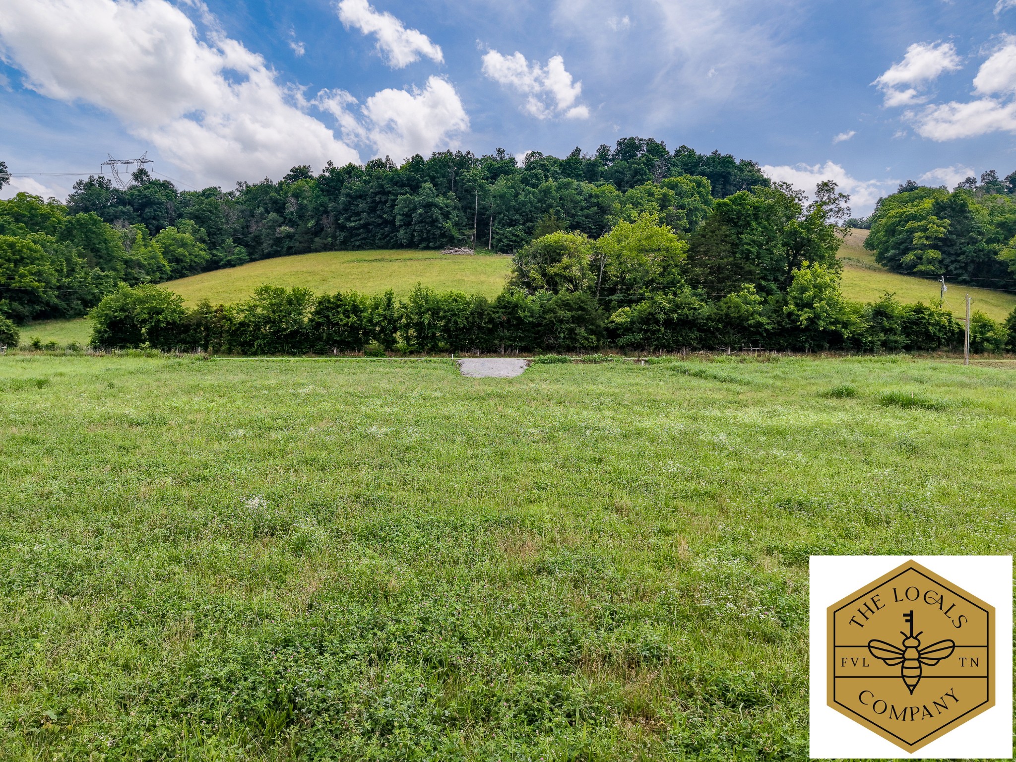 386 Cathcart Road Frankewing, TN 38459 - Photo 3 of 15