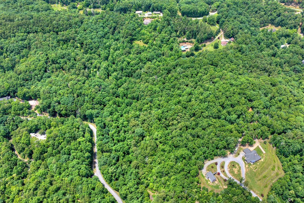 1207 Bullen Gap Road Blue Ridge, GA 30513 - Photo 52 of 61