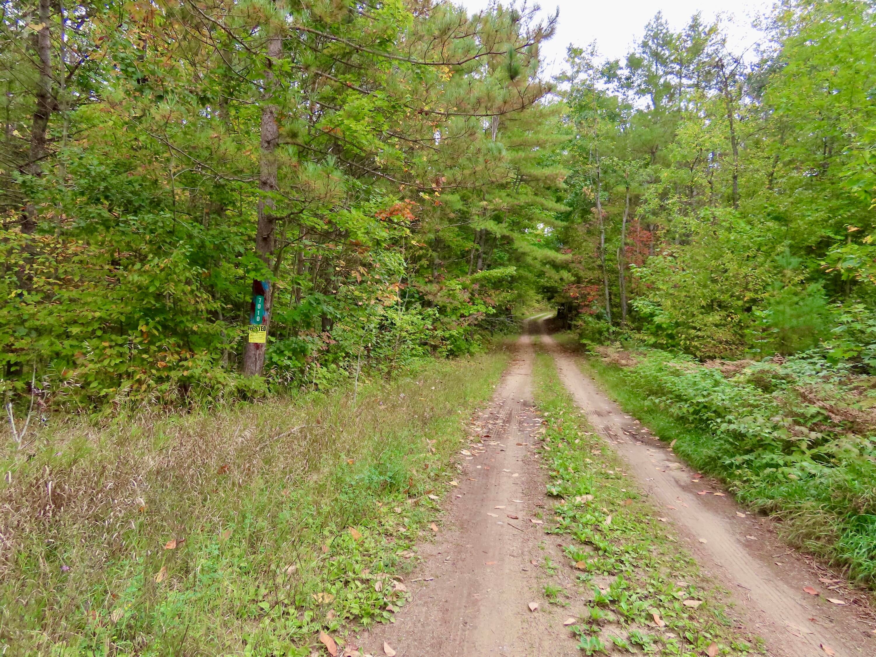 5351 Meaford Road Atlanta, MI 49709 - Photo 45 of 63 drives