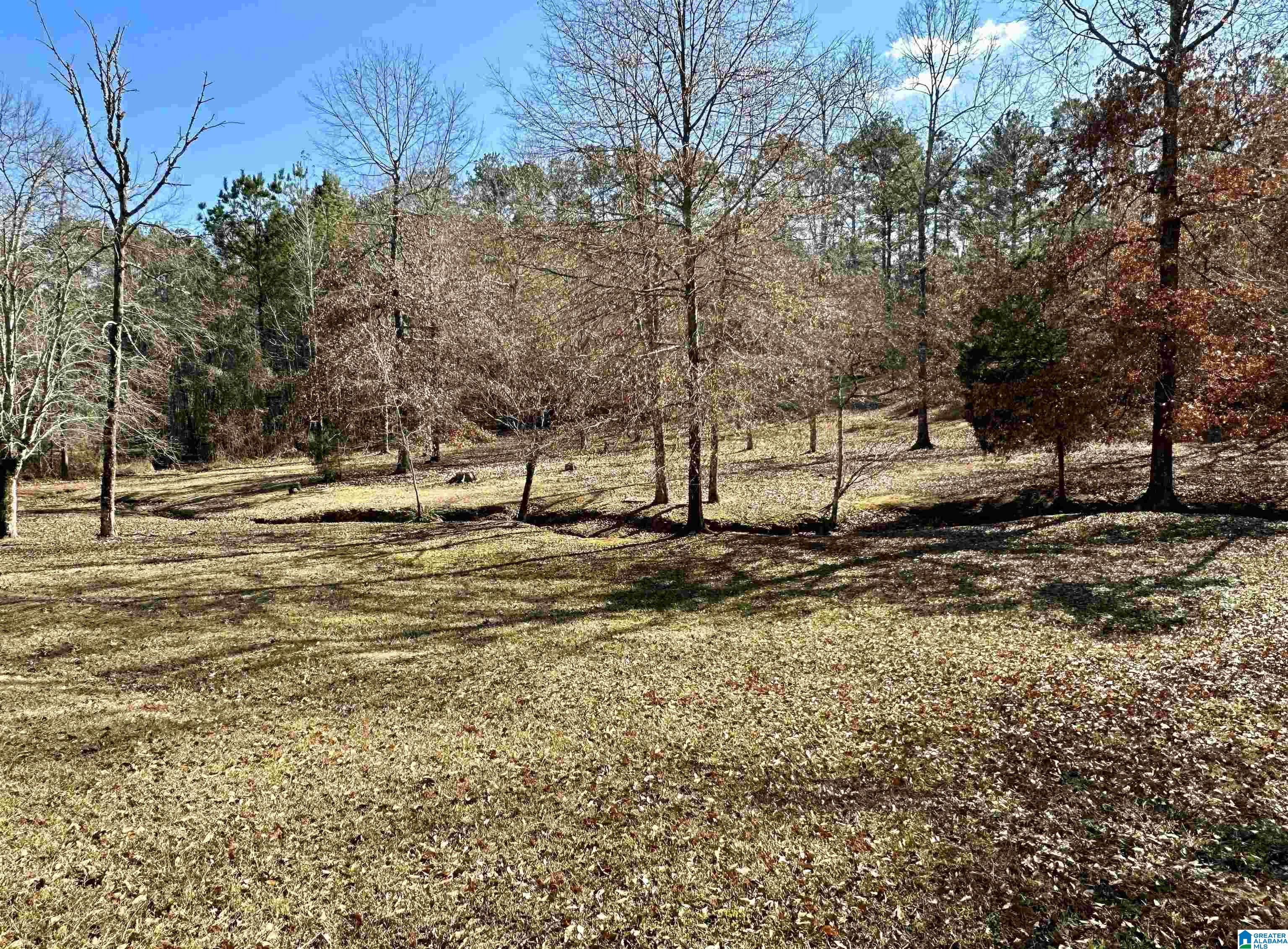 535 Oak Circle Ohatchee, AL 36271 - Photo 11 of 18