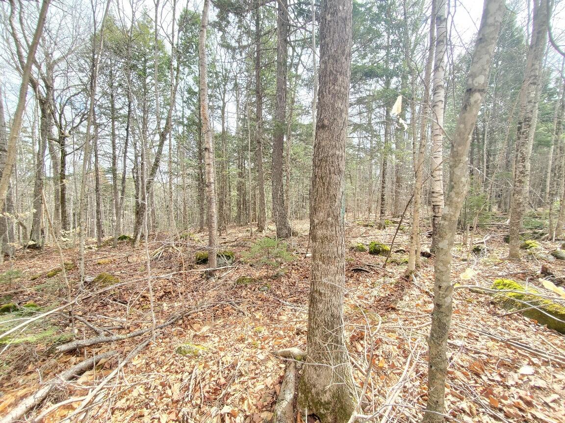 0 Sandy Beach Road Danforth, ME 04424 - Photo 15 of 33