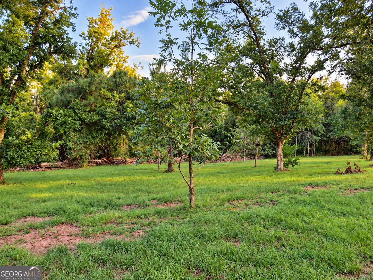 709 Bob Sharpe Road Vidalia, GA 30474 - Photo 5 of 23 Gallery Image 5