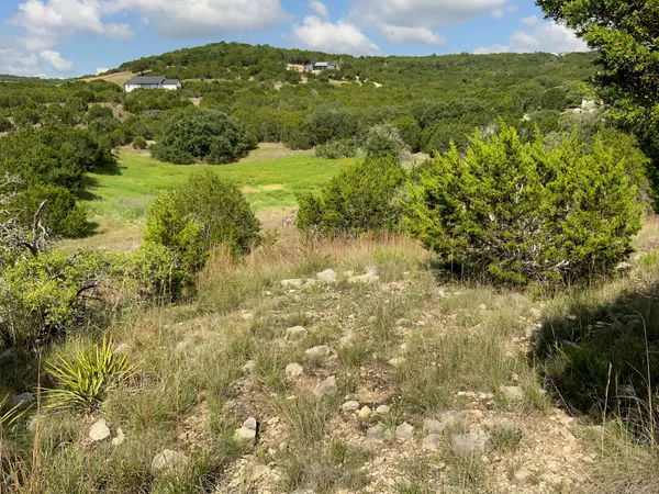 $95,000 | Lot 133 Spring Hollow Drive, Bertram, TX 78605