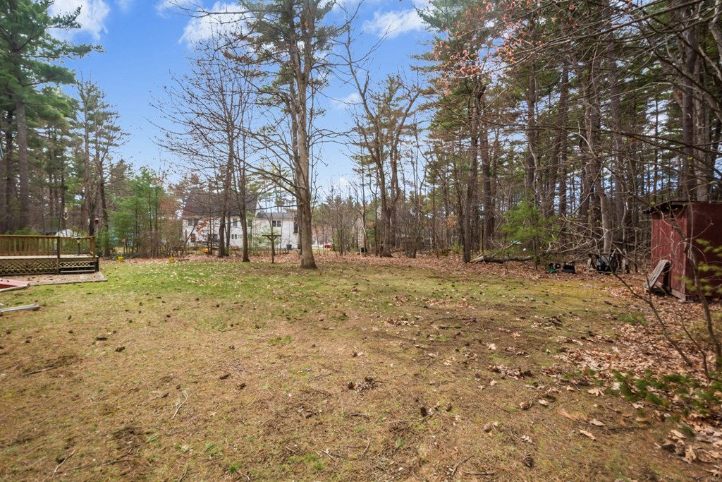 148 Walker Road Shirley, MA 01464 - Photo 30 of 35 a view of a yard with a tree