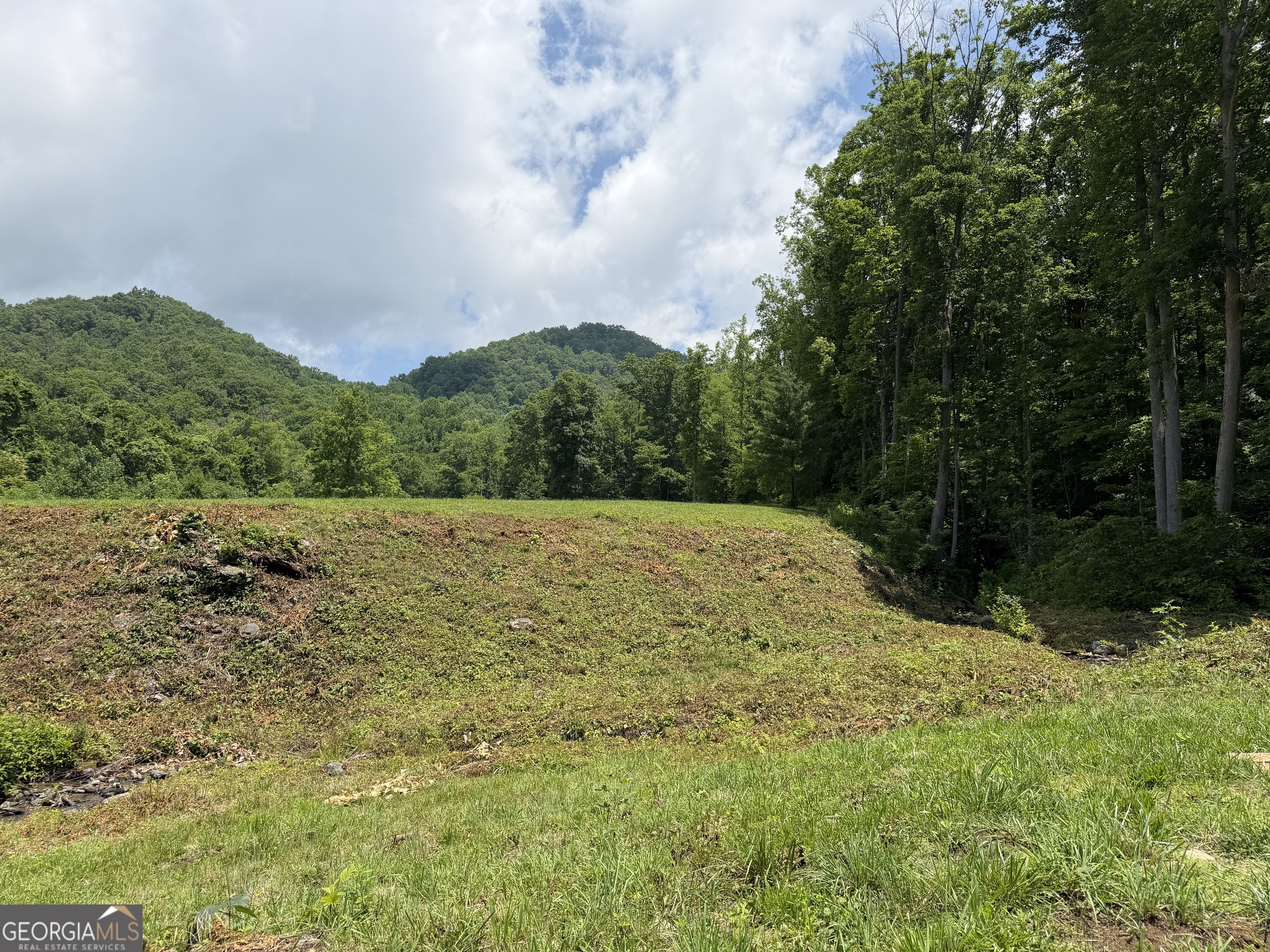 1449 Muskrat Creek Road Hayesville, NC 28904 - Photo 69 of 95