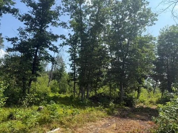 $44,900 | 7760 South Merrillville Road, Baldwin, MI 49304