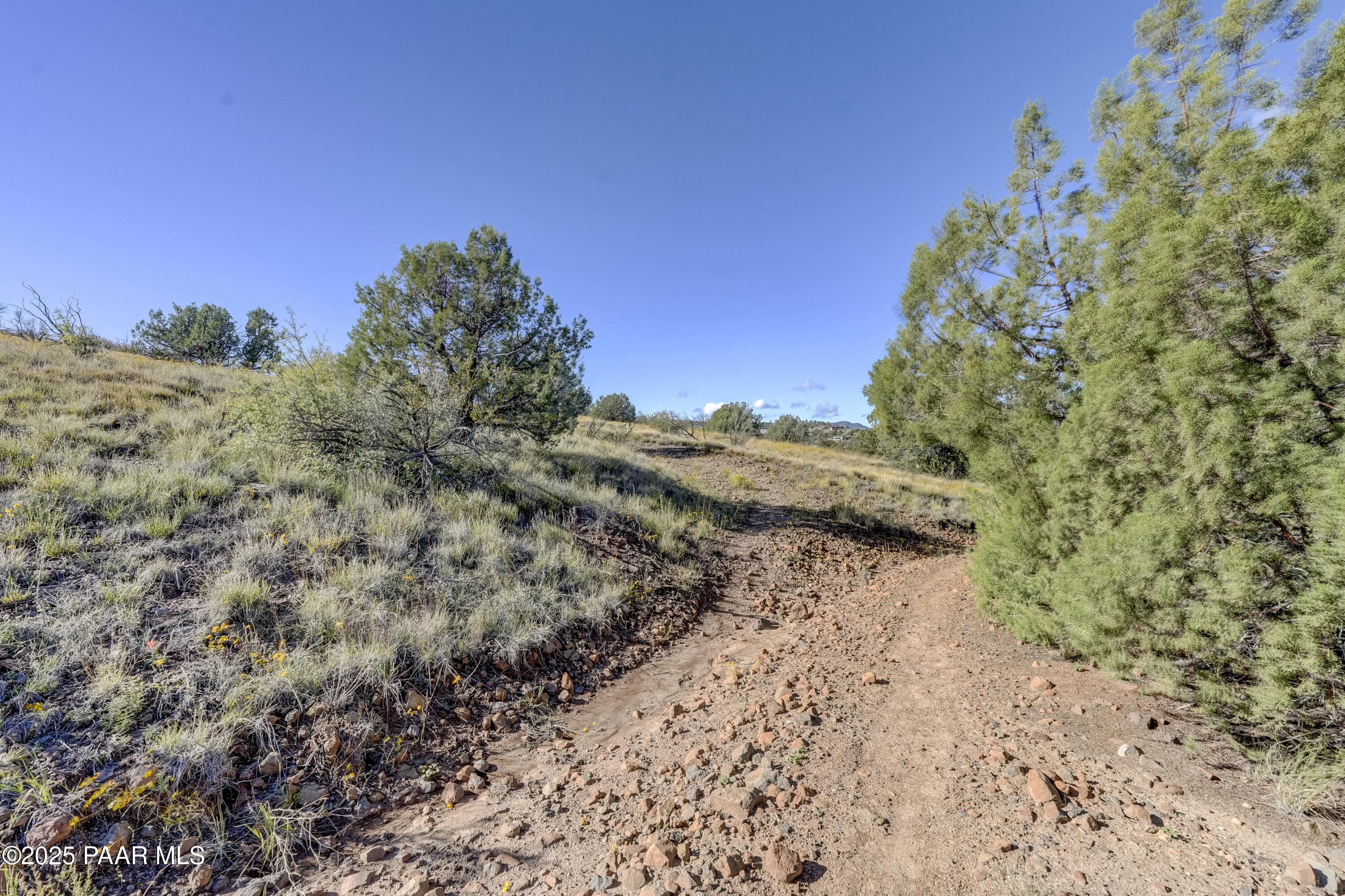 2722 College Heights Road Prescott, AZ 86301 - Photo 6 of 30 Back Yard View 1
