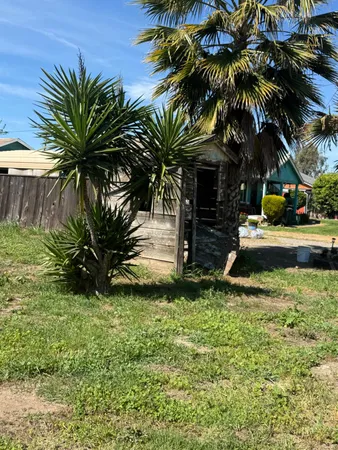 a view of yard with green space
