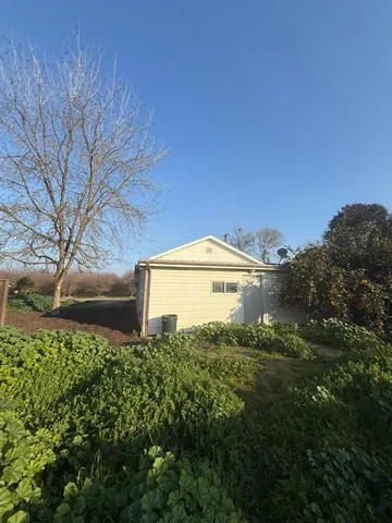 a view of a big yard with plants and large trees