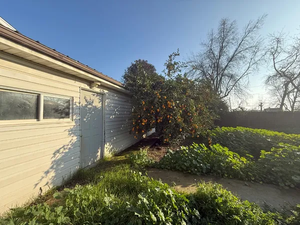 a view of a house with a yard plants and large tree