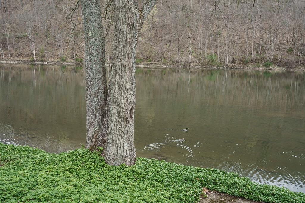 130 Riverside Lane Irvine, PA 16329 - Photo 25 of 25 Gallery Image 25