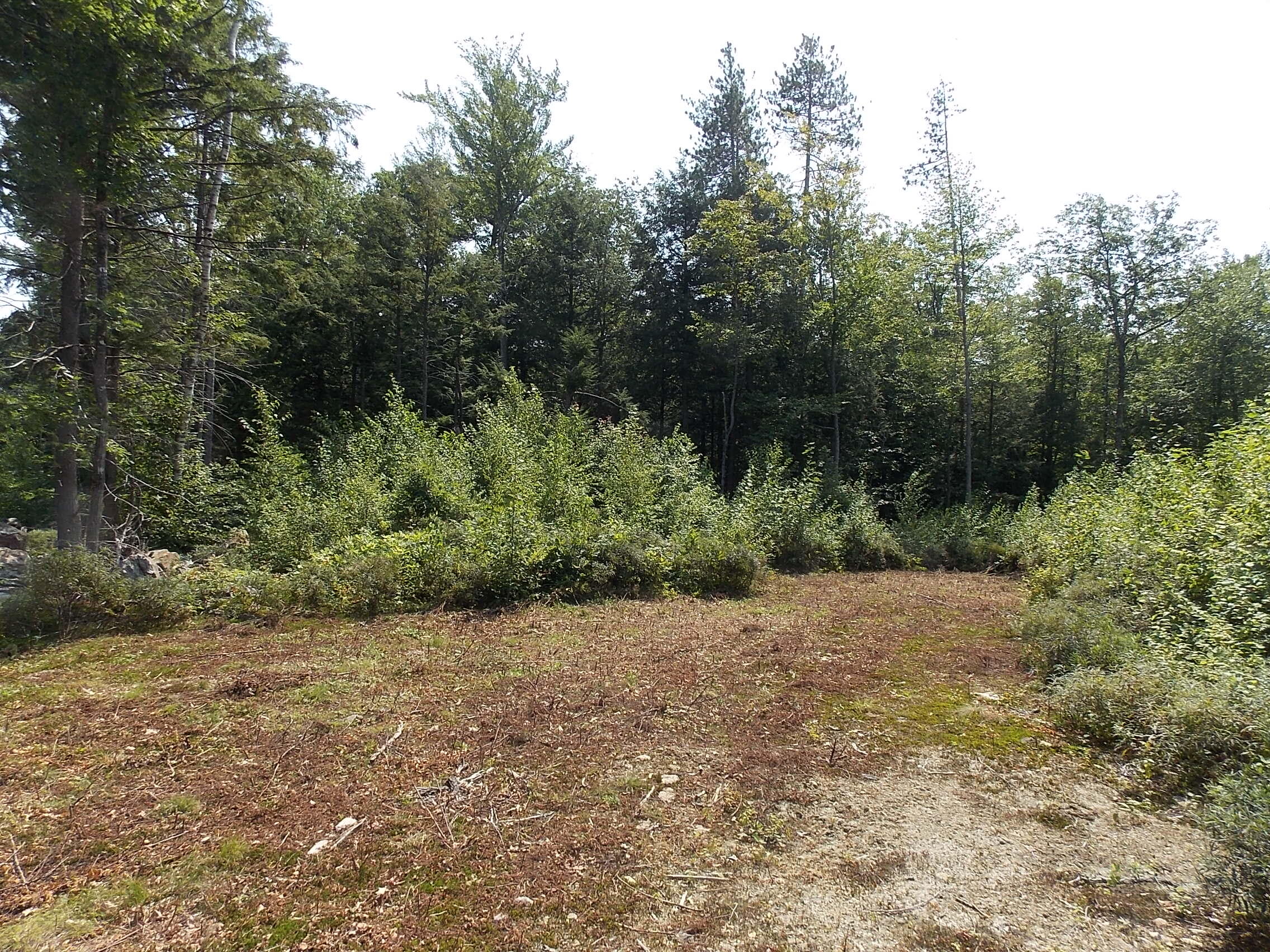 0 Walnut Brook Road Sanford, ME 04073 - Photo 6 of 19 DSCN9519