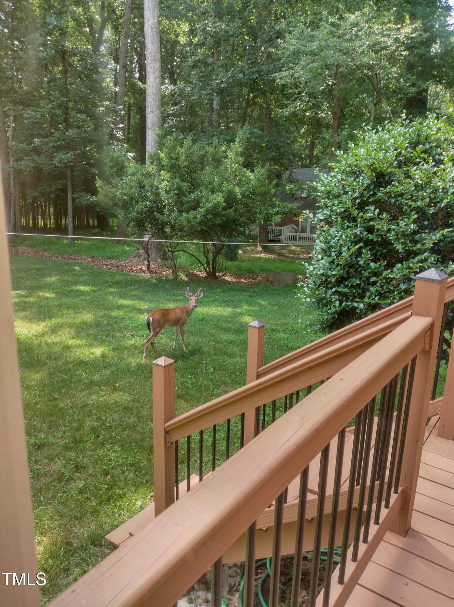 11636 Appaloosa Run West Raleigh, NC 27613 - Photo 20 of 22 backyard friend
