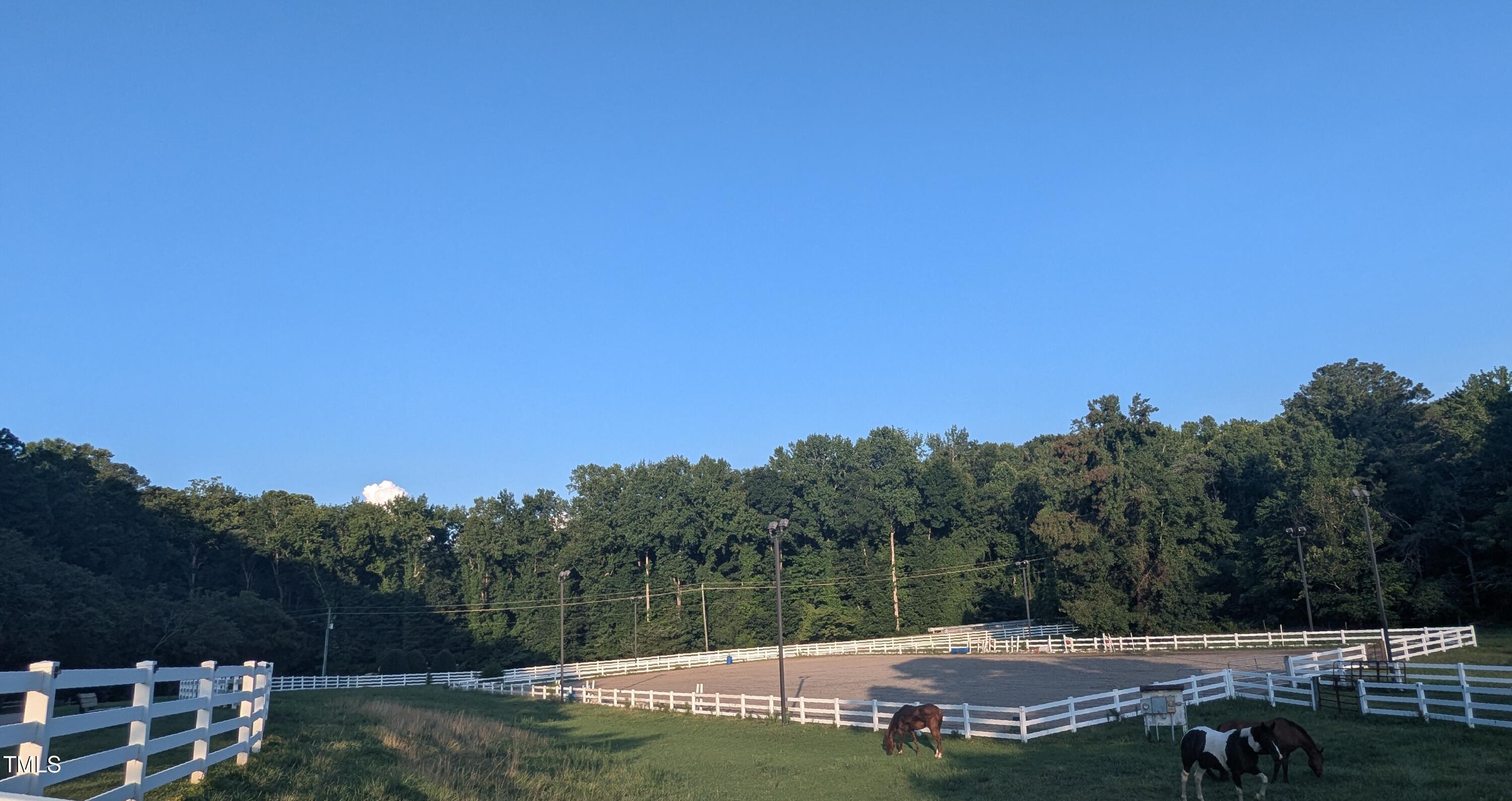 11636 Appaloosa Run West Raleigh, NC 27613 - Photo 22 of 22 Neighborhood Pasture