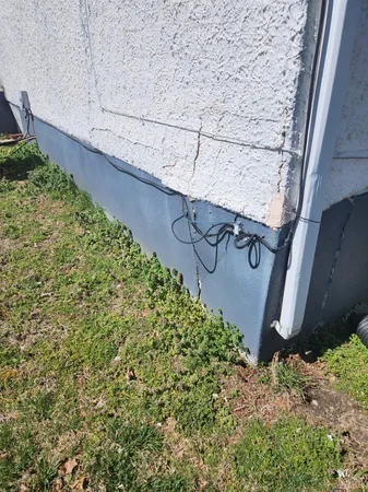 a view of a bunch of plants and wooden fence
