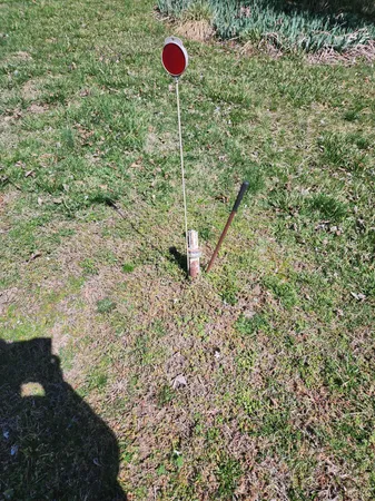 a backyard of a house with a tree
