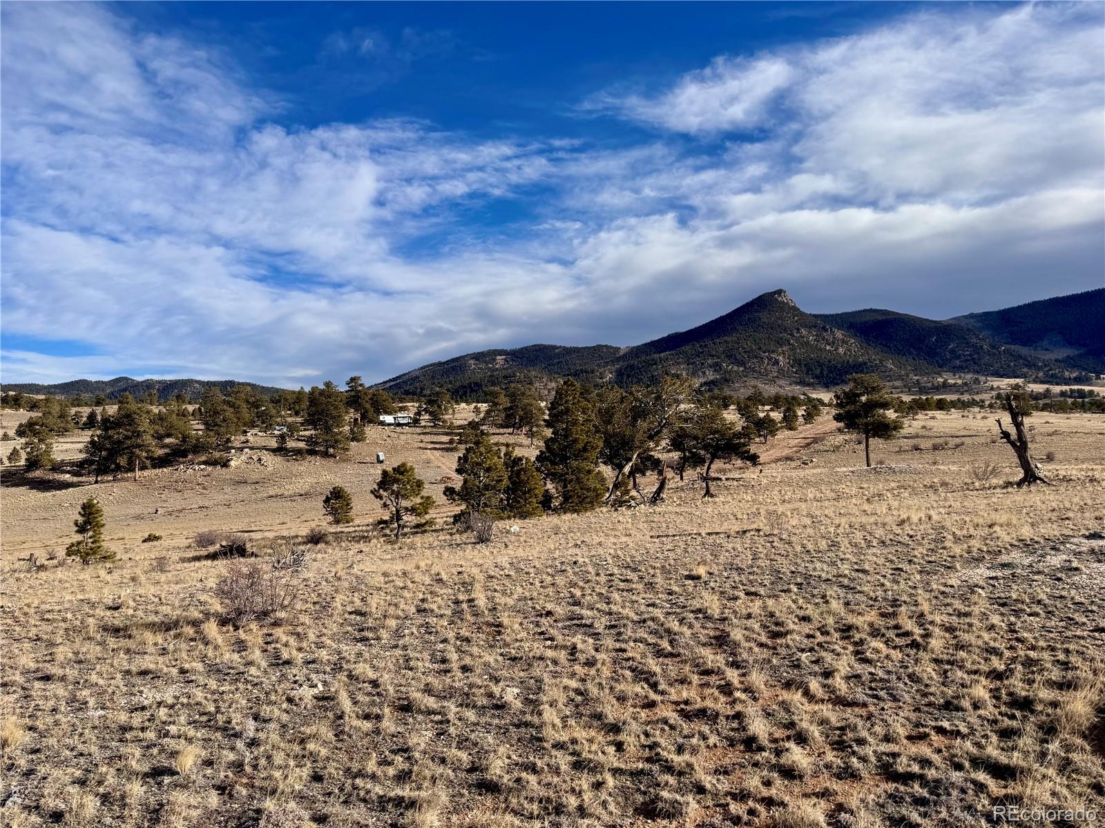 10620 Routt Road Lake George, CO 80827 - Photo 15 of 22 a view of a yard with snow on the road