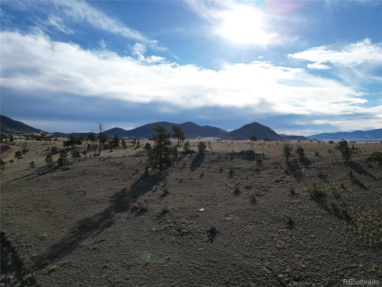 10620 Routt Road Lake George, CO 80827 - Photo 21 of 22 a view of a dry yard with mountain
