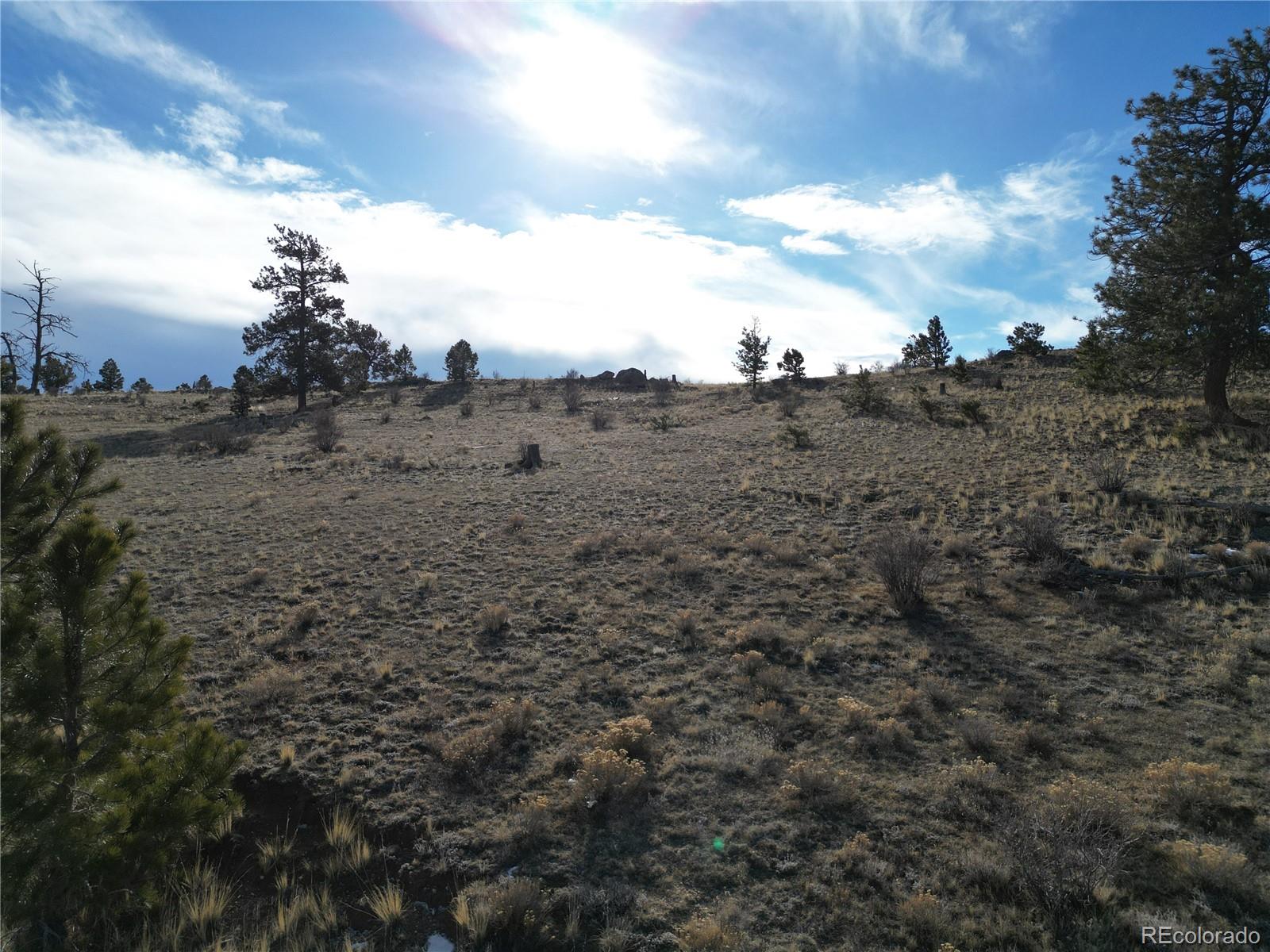 10620 Routt Road Lake George, CO 80827 - Photo 22 of 22 a view of a dry yard