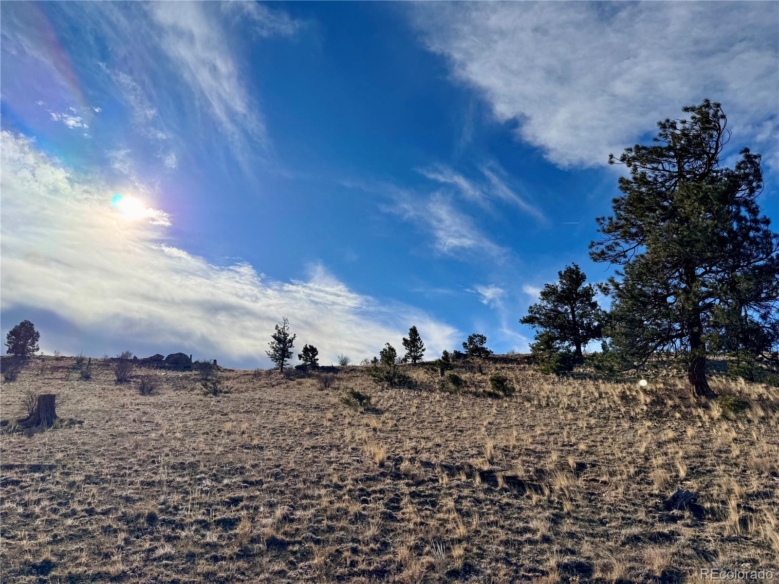 10620 Routt Road Lake George, CO 80827 - Photo 5 of 22 a view of a sky