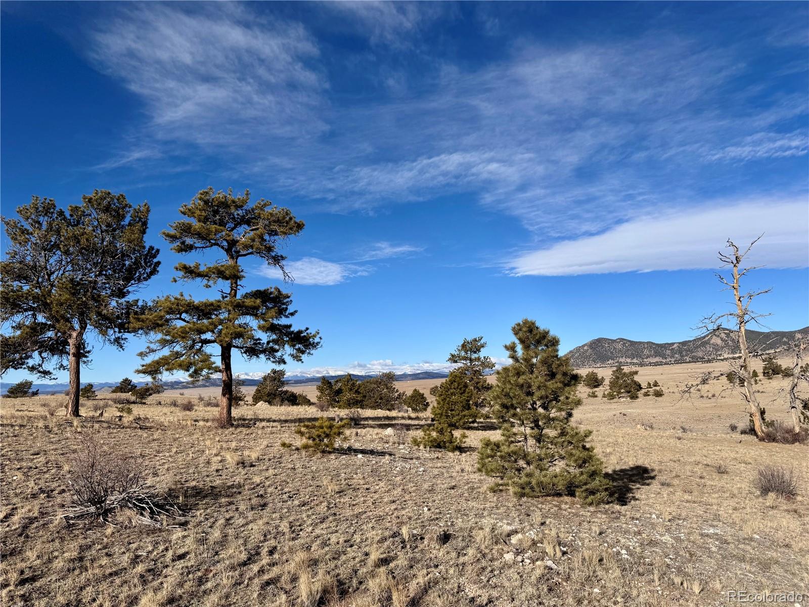 10620 Routt Road Lake George, CO 80827 - Photo 7 of 22 a view of a covered with snow in the background