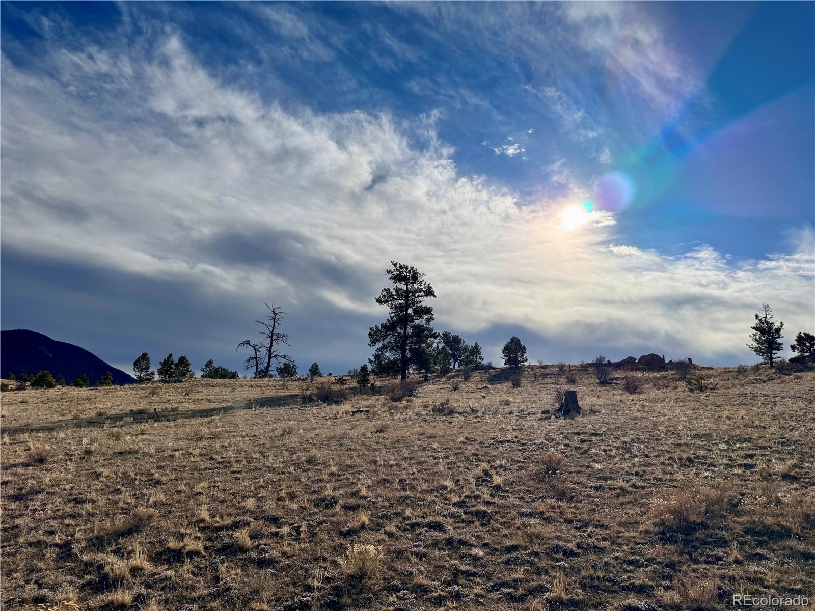 10620 Routt Road Lake George, CO 80827 - Photo 9 of 22 a view of a large building