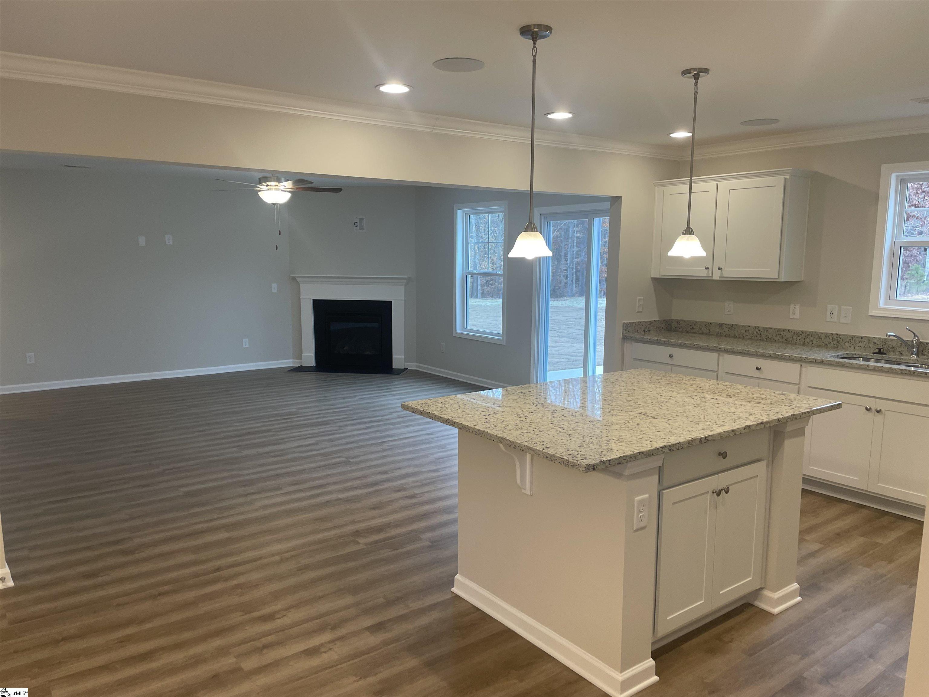300 Anduin Way Fountain Inn, SC 29644 - Photo 6 of 12