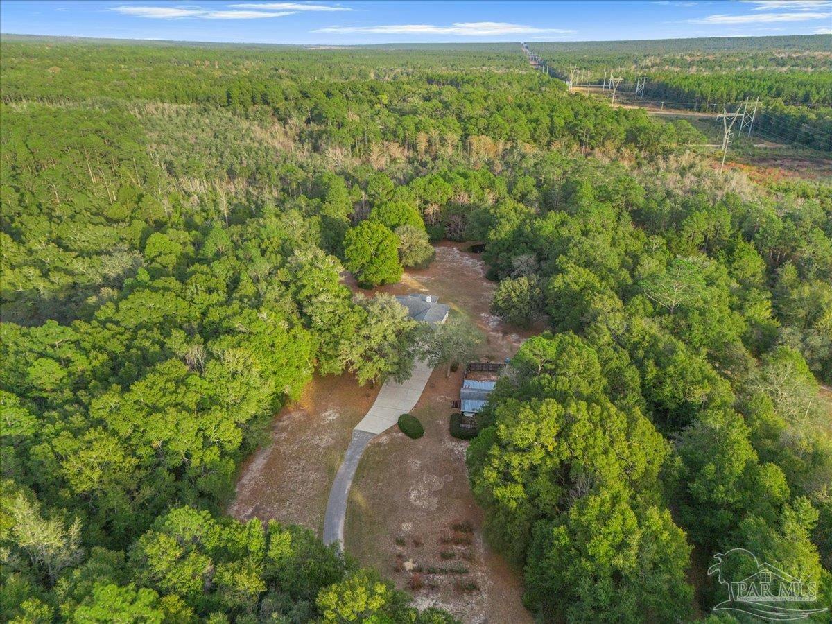 6500 Winston Brown Road Milton, FL 32570 - Photo 2 of 43 a view of a garden with a lake