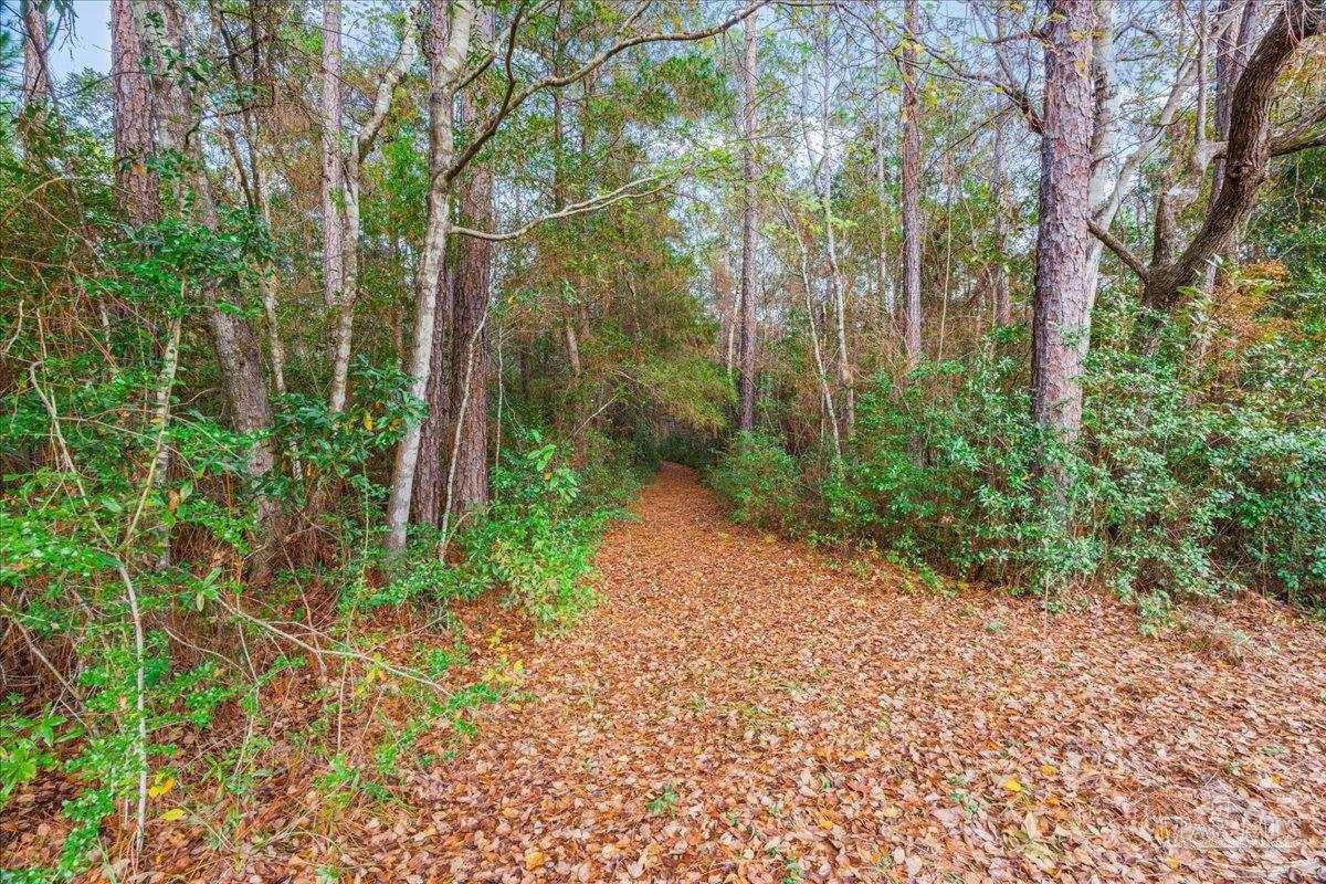 6500 Winston Brown Road Milton, FL 32570 - Photo 36 of 43 a view of a garden with large trees
