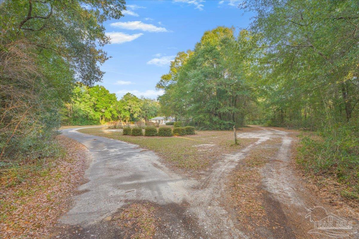 6500 Winston Brown Road Milton, FL 32570 - Photo 38 of 43 a view of a yard with plants and trees