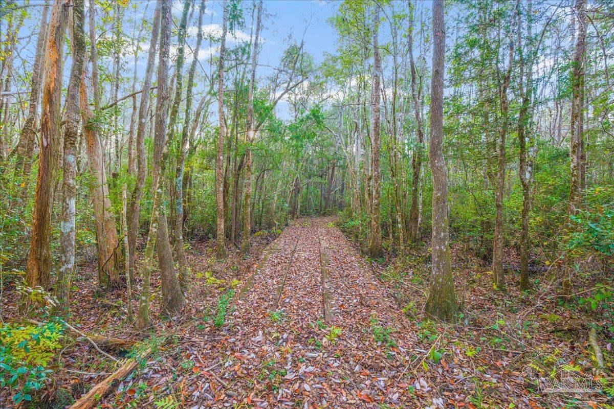 6500 Winston Brown Road Milton, FL 32570 - Photo 9 of 43 a view of a garden with trees