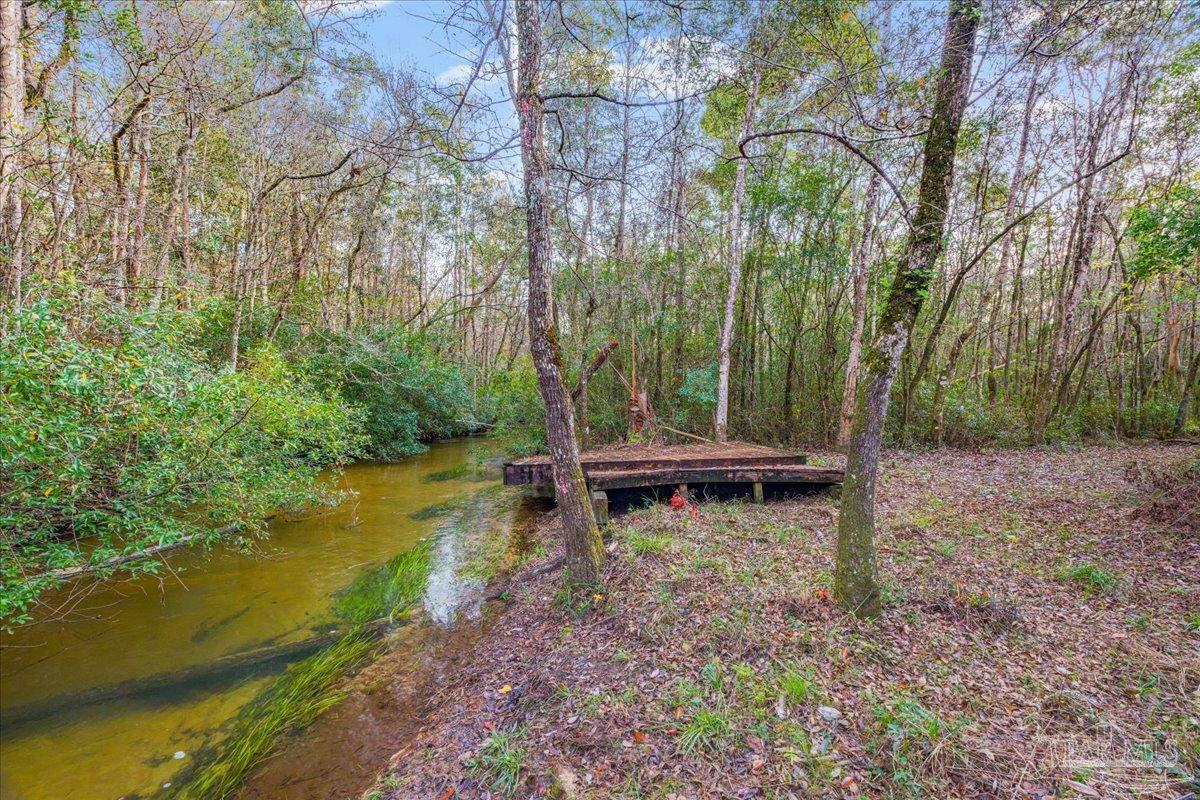 6500 Winston Brown Road Milton, FL 32570 - Photo 10 of 43 a view of a park with large trees