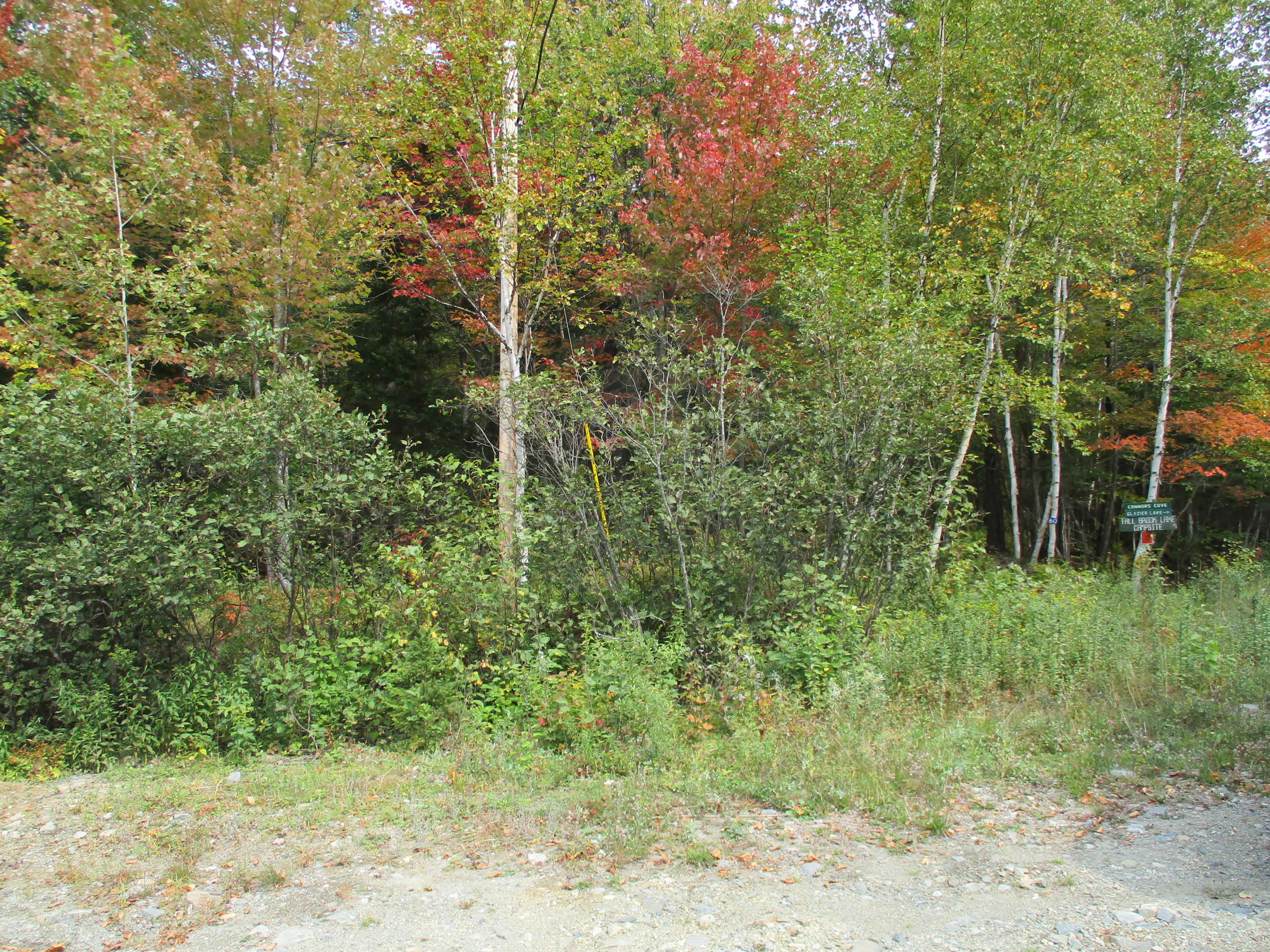 60 Little Black Road St. Francis, ME 04774 - Photo 32 of 35 IMG_1263