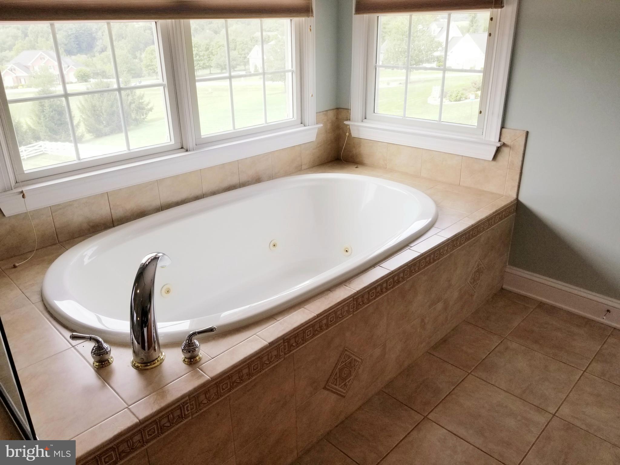 774 Lone Tree Road Westminster, MD 21157 - Photo 33 of 64 2nd Fl MBA Soaking Tub