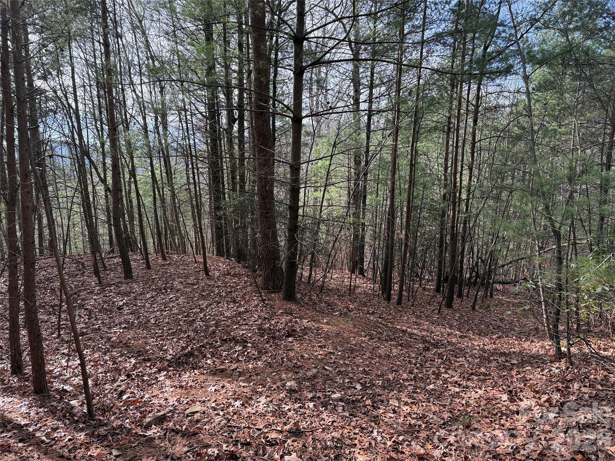 Tbd Buck Mountain Road, Unit 21 Purlear, NC 28665 - Photo 16 of 43 Gallery Image 16