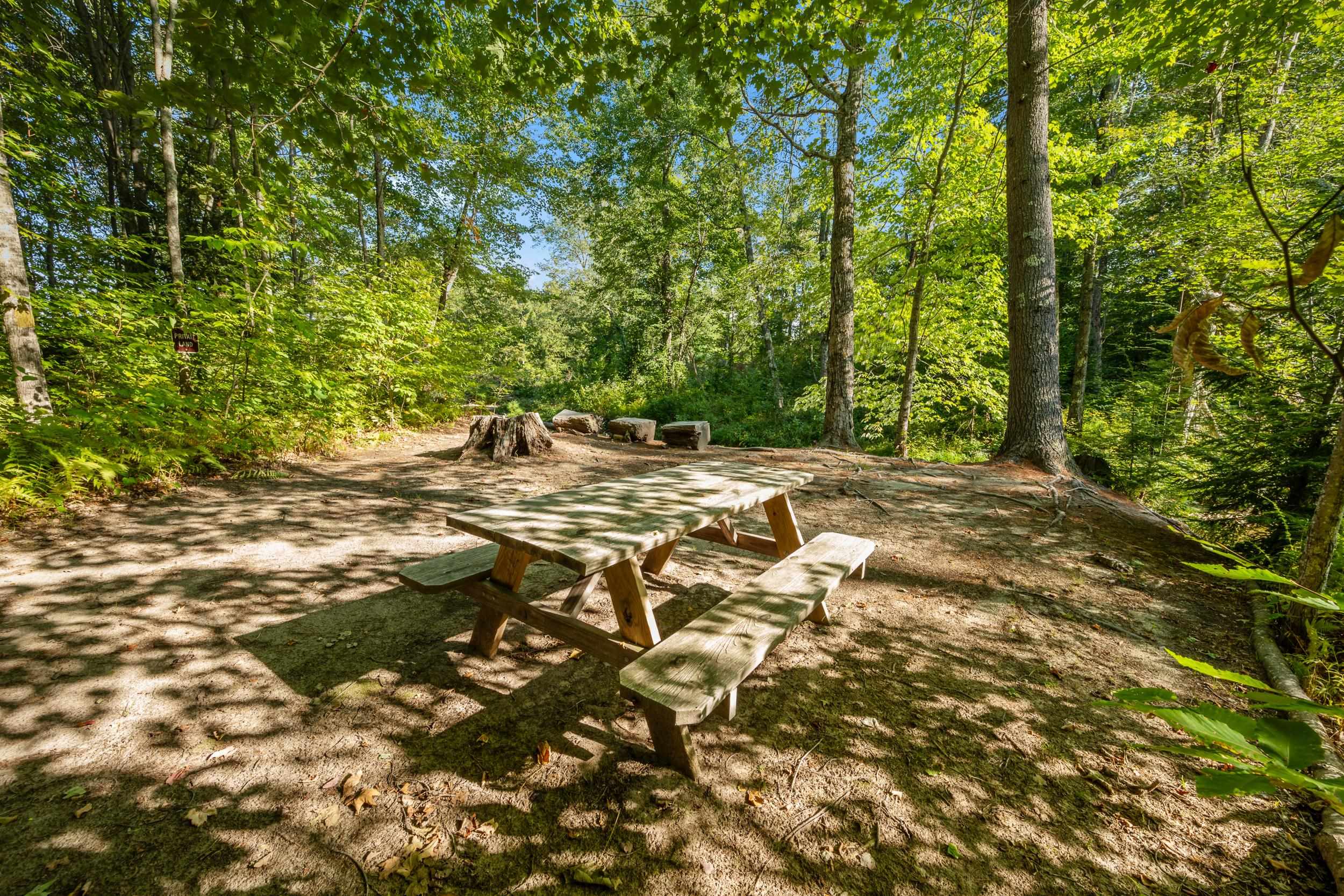 115 Swift Valley Road Conway, NH 03818 - Photo 50 of 59