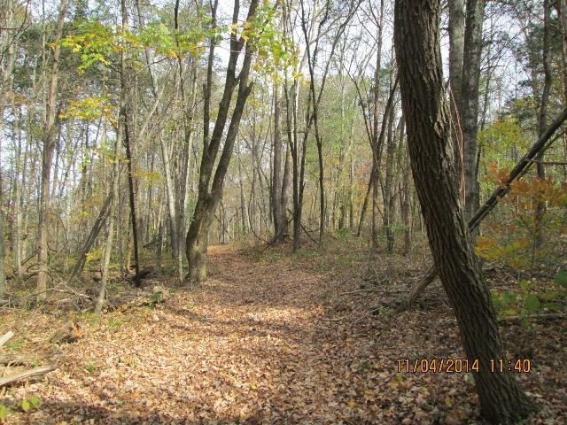 0 Fattybread Branch Road Williamsport, TN 38487 - Photo 8 of 17 Gallery Image 8