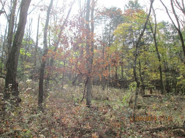 0 Fattybread Branch Road Williamsport, TN 38487 - Photo 9 of 17 Gallery Image 9