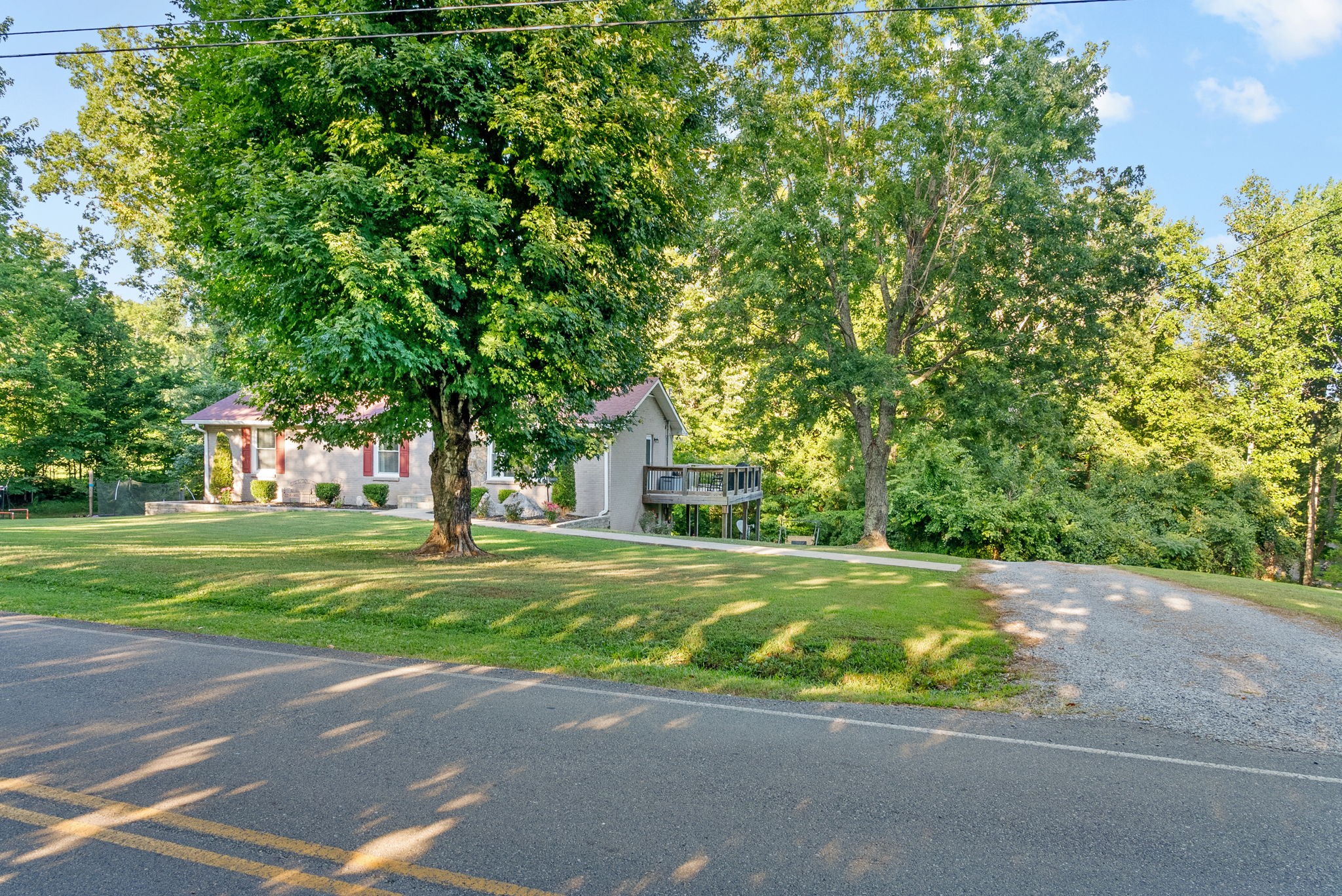 1001 Issac Clifton Road Chapmansboro, TN 37035 - Photo 3 of 47 a view of a trees in a yard
