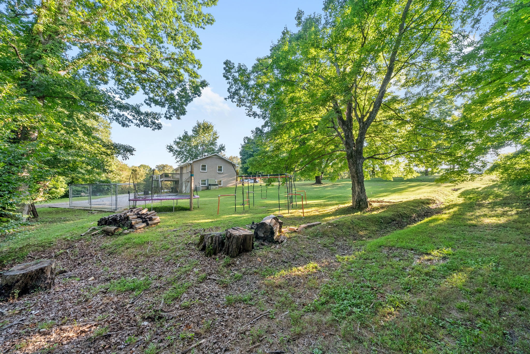 1001 Issac Clifton Road Chapmansboro, TN 37035 - Photo 46 of 47 a view of a park with large trees