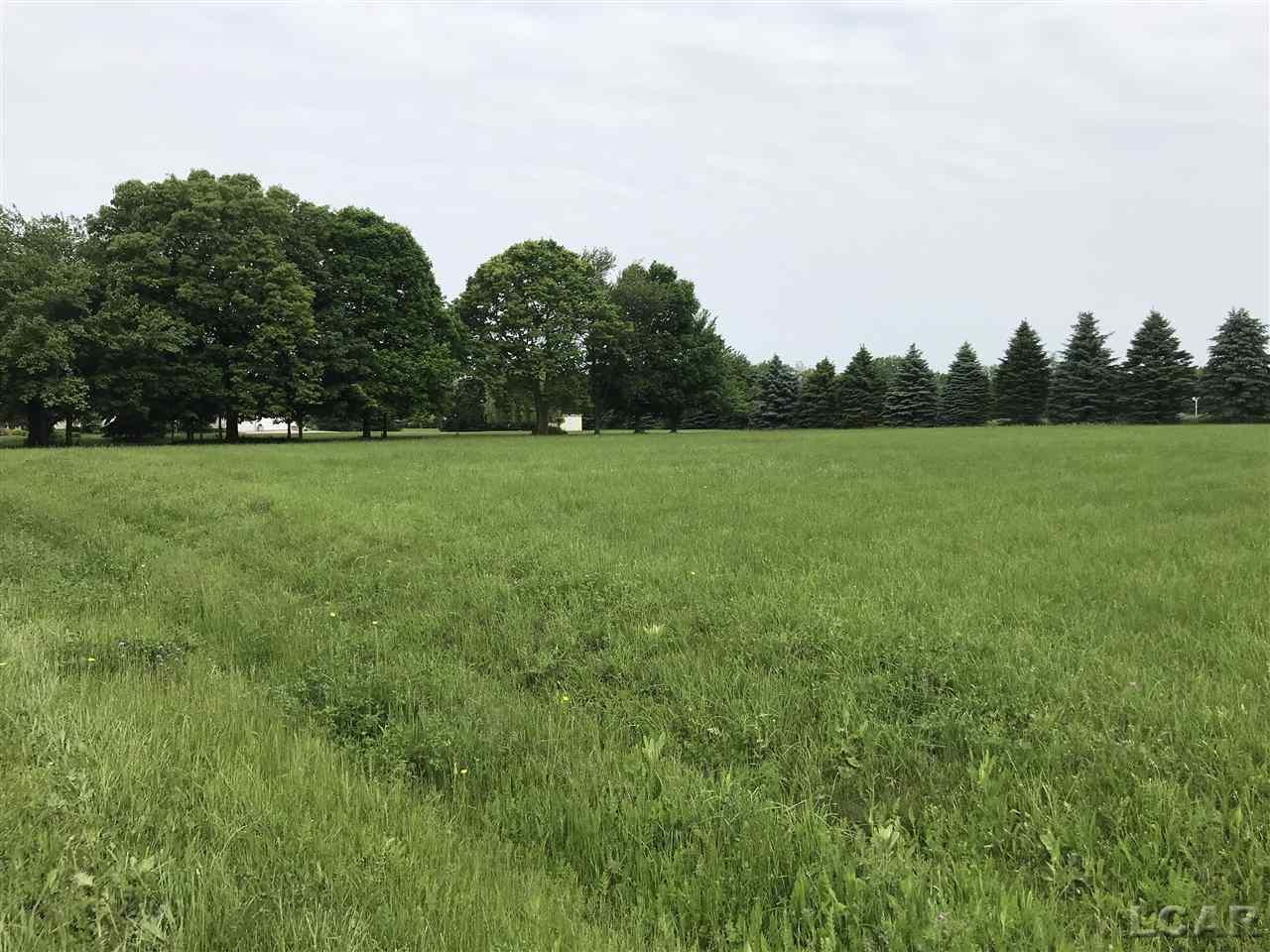 0 Country Club Road Adrian, MI 49221 - Photo 1 of 3