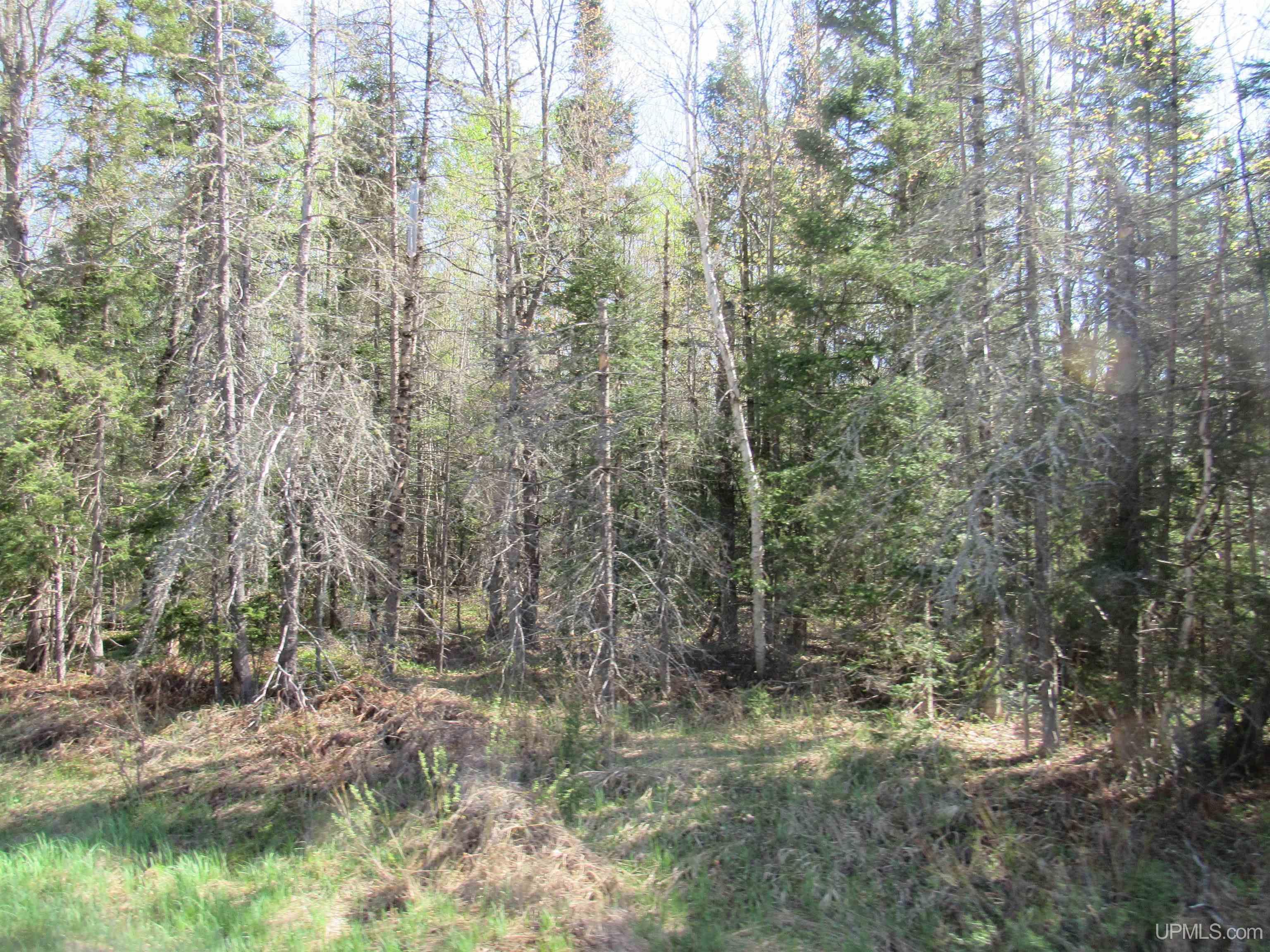 Tbd Us 141 Road, Unit LUKES ROAD Amasa, MI 49903 - Photo 10 of 22