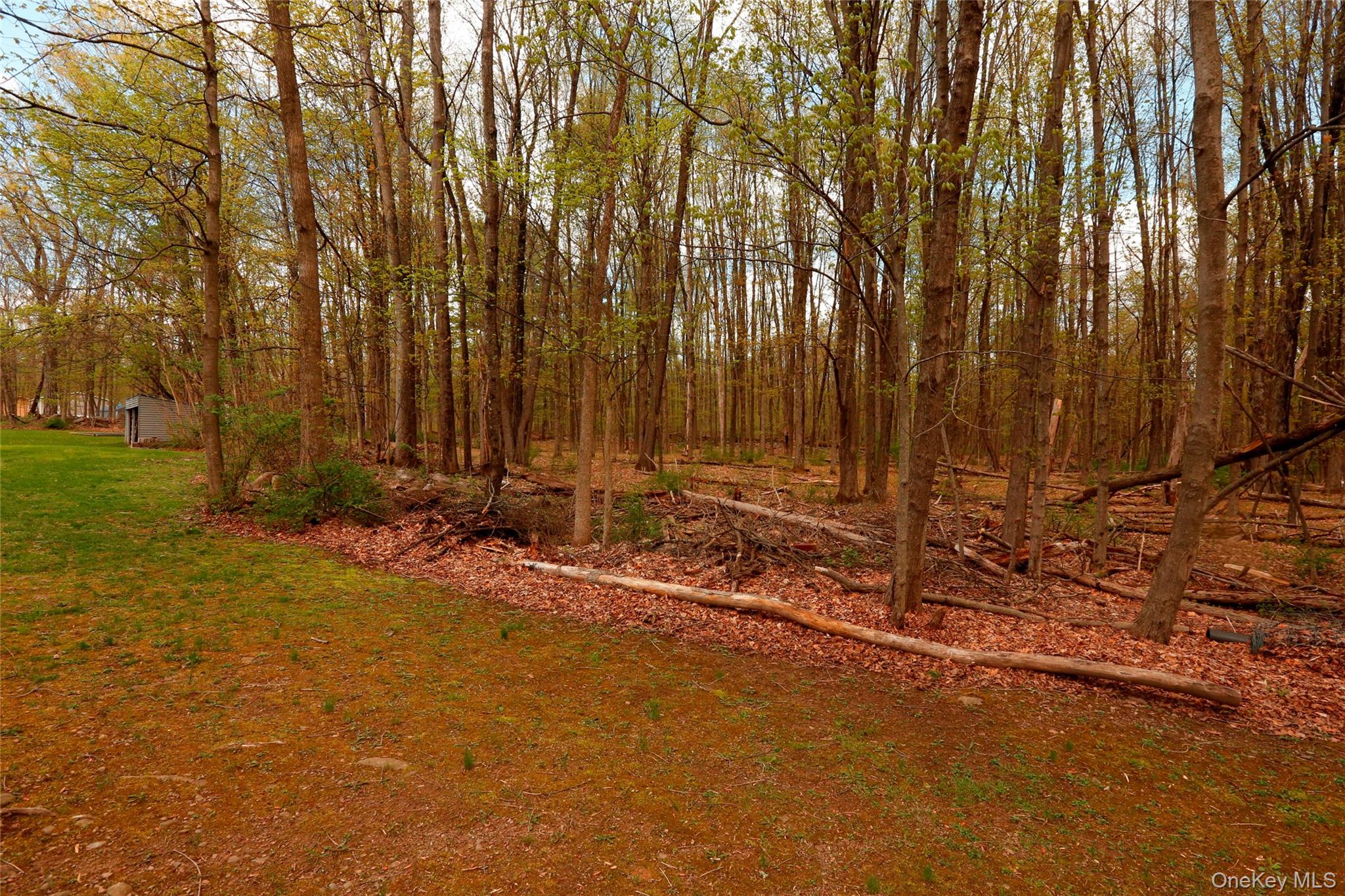 650 Granite Road Kerhonkson, NY 12446 - Photo 34 of 38 a view of a backyard with trees